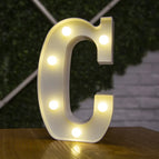 C / 22cm