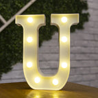 U / 22cm
