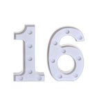 16 / 21x13.5x4.5cm