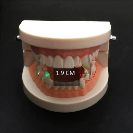 1 Pair Vampire Teeth Fangs Dentures Props Halloween Costume Props False Teeth Solid Glue Denture Adhesive Halloween Party Decor
