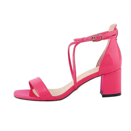 2026 Summer Women Sandals Fashion Sexy Open Toes Thick High Heels Pumps Ankle Strap Work OL Party Dress Wedding Party Shoes