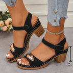Black / 43