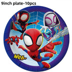 10pcs 9inch plate