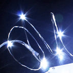 WHITE / 1m 10leds-10PCS