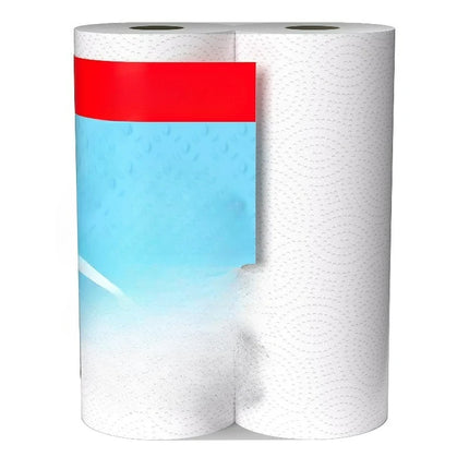 Everyday Strong Paper Towels, 2 Double Rolls