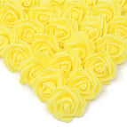 R3 / 10PCS