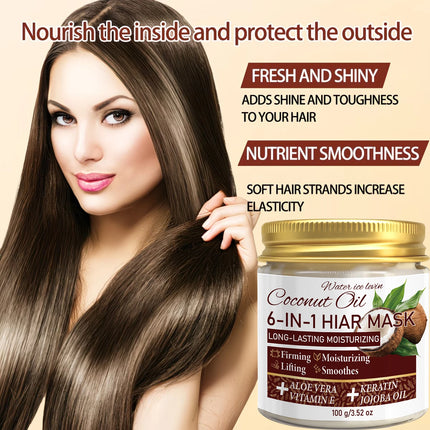 Water Ice Levin 6-In-1 Coconut Oil Hair Mask Keratin Aloe Jojoba Hydrate Dry Colored Fine Hair 100g