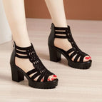 black / 40