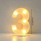 3 / 1pc