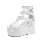 white / 36