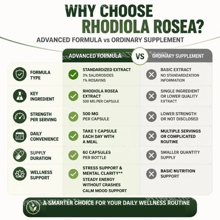 Rhodiola Rosea Extract Capsules 500mg Herbal Adaptogen for Daily Wellness Focus Mental Clarity and Energy Support 60 Capsules