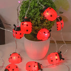 Clear / 3m 20led usb