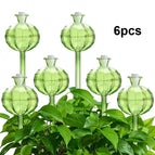 6pcs