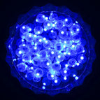 Blue / 50pcs