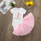 DR140146-SQPWHXPK / 12 month