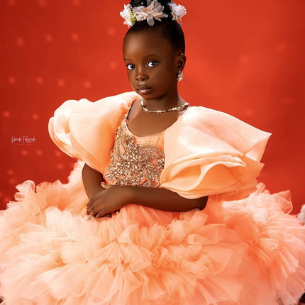 Luxury Beaded Girls Birthday Party Dresses Customized Short Flower Girl Dresses Princess Baby Girls Pageant Gowns for Photoshoot
