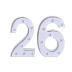 26 / 21x13.5x4.5cm