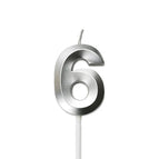 Silver Number 6