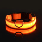 Orange / M