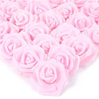 R7 / 10PCS