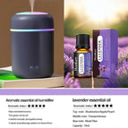 Including Diffuser 13