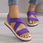 purple / 41