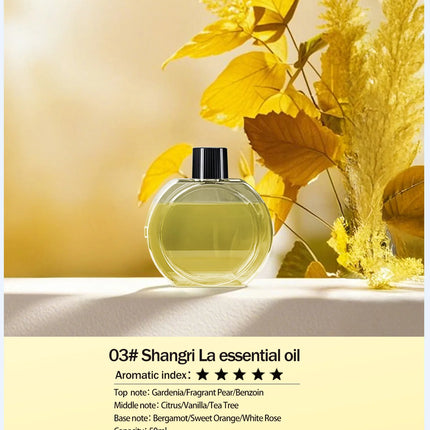 Rechargeable automatic aroma diffuser, essential oil diffuser, aroma essential oil, hotel bathroom aroma machine gift