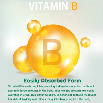 Niacinamide Vitamin B3 1,000 Mg - Dietary Supplement, Non-GMO