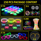 250PCS Party Favors / United States