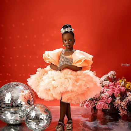 Luxury Beaded Girls Birthday Party Dresses Customized Short Flower Girl Dresses Princess Baby Girls Pageant Gowns for Photoshoot