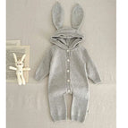231H22 Grey ear / 90(18-24M)