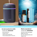 Including Diffuser 10
