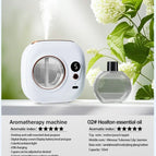 1Healton 1Diffuser / China Mainland