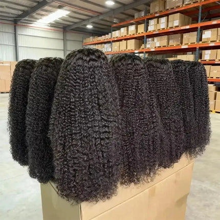 Deep Wave 13x6 HD Lace Frontal Wig Brazilian Curly Glueless Wigs Human Hair For Black Women Pre Plucked Wet An Wavy Human Hair
