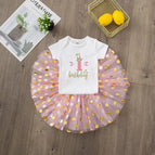 DR140145-SQPWHYPK / 12 month