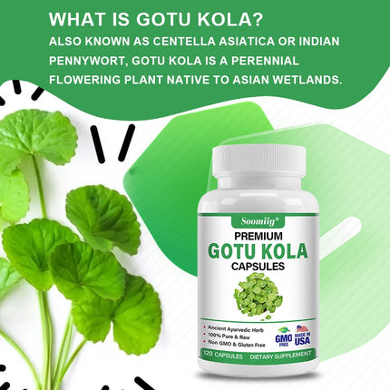 Gotu Kola Capsules 1300mg - Ginkgo Biloba, Brain Health, Memory & Focus, Calm Nerves, Skin & Circulation Support, Non-GMO