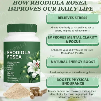 Rhodiola Rosea Capsules 500mg Herbal Supplement for Daily Energy Balance Mental Focus Adaptogen Plant Extract 60 Capsules