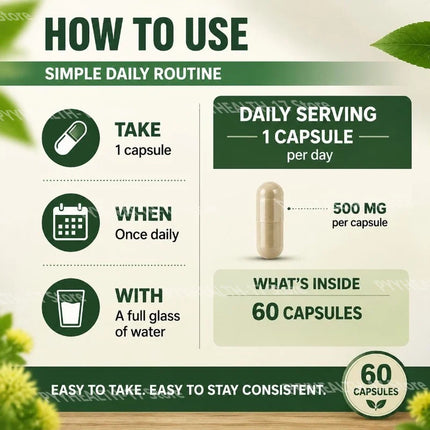 Rhodiola Rosea Extract Capsules 500mg Herbal Adaptogen for Daily Wellness Focus Mental Clarity and Energy Support 60 Capsules