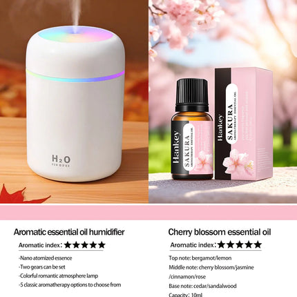 300ml Aromatherapy Diffuser Humidifier Air Purifier Car Home Use Seven-color Light Aromatherapy Essential Oil