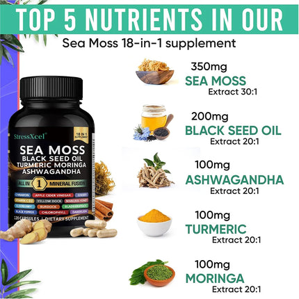 Sea Moss Capsules - Black Seed, Energy, Antioxidant, Endurance, Immune, Thyroid & Digestive Support, Detoxifying, Antioxidant