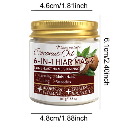 Water Ice Levin 6-In-1 Coconut Oil Hair Mask Keratin Aloe Jojoba Hydrate Dry Colored Fine Hair 100g