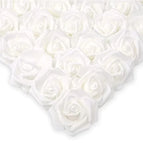 R1 / 10PCS