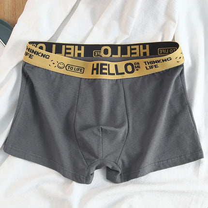 12Pcs Men's underwear Boxer Brief Plus size Cotton Panties Breathable Soft 40-130KG