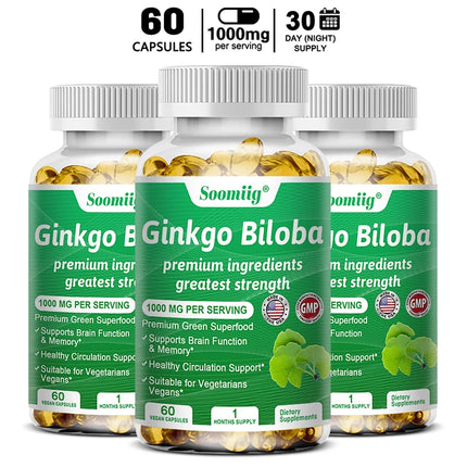 Ginkgo Biloba Capsules, Memory Support Supplement, Supports Brain Function and Mental Alertness, 120 Capsules