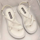 White / 40