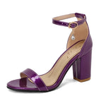 Purple / 41