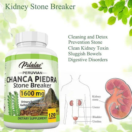 Chanca Piedra Capsules 1600mg - Urinary Tract Support, Non-GMO Supplement, Kidney Stone CrushingSupplement