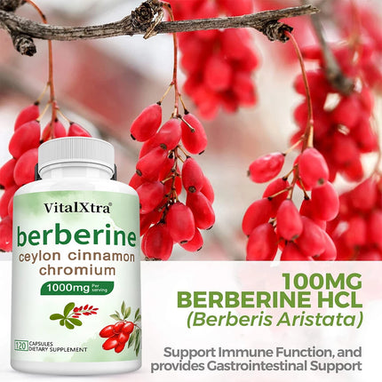 Berberine Capsules with Ceylon Cinnamon & Turmeric, Support Heart Health, Blood Sugar, Liver Function, Immune & Digestive Health