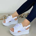 WHITE / 36