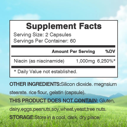 Niacinamide Vitamin B3 1,000 Mg - Dietary Supplement, Non-GMO
